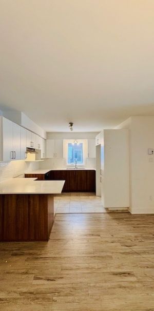 Appartements à Louer - 2 Chambres - Photo 1