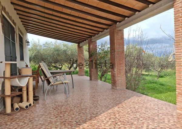 Alquiler de casa o chalet independiente en Camino el Grijo