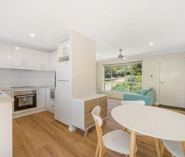 2 Bangalay Drive, Port Macquarie NSW 2444 - House For Rent | Domain - Photo 6