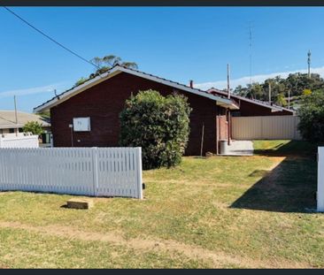 Newly Renovated! Front, Spacious Yard with Side Access! - Photo 4