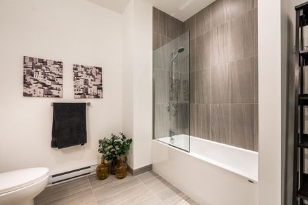 Mostra Maisonneuve apartments for rent in Montreal - Photo 5