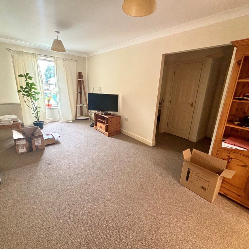 Hazel Covert, Thetford - Photo 1