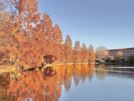 Teglvænget 3, 5. 6, 9000 Aalborg - Photo 2