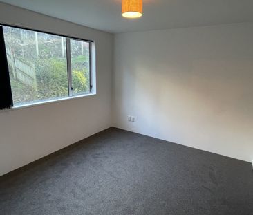 113B York Place - 2025, Dunedin Central, Dunedin City - Photo 6