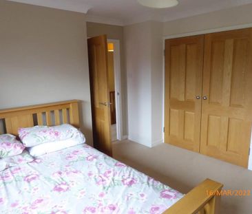 3 bedroom detached house to rent - Photo 6