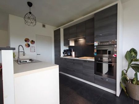 Ruime halfopen bebouwing met 3 slaapkamers, garage en tuin in Lokeren - Photo 5