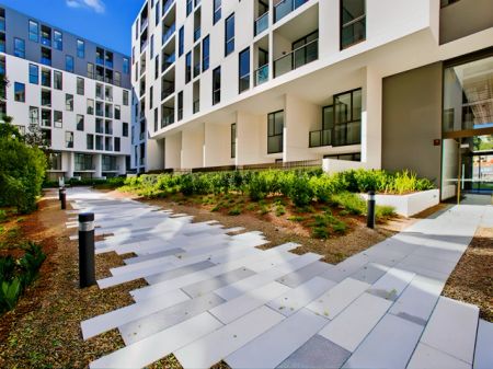 1 bed 1 bath - Photo 3