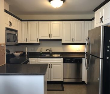5689 Cunard Street – Trendy 1 BR Apartment Across From Commons Avai... - Photo 4