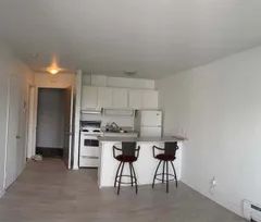 1 room studio of 47m² in Quebec - Photo 1