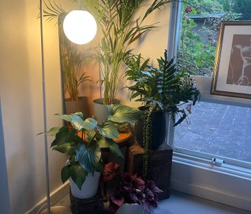 Basket Range - Photo 6