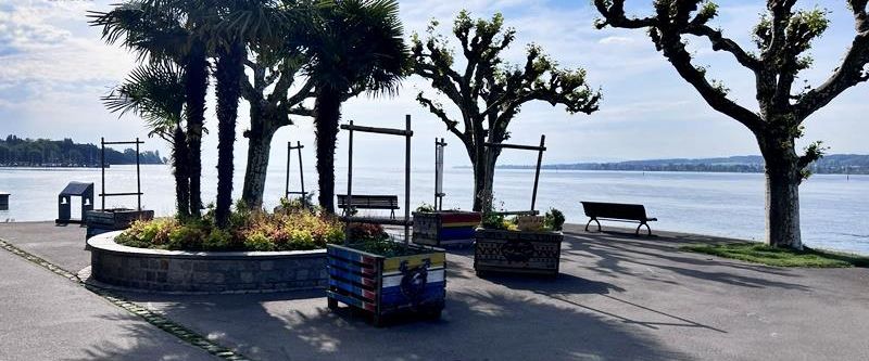 Gemütliche 3-Zimmer-Wohnung in KN-Musikerviertel - Foto 1