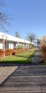 Luxurious apartment for rent - Photo 3