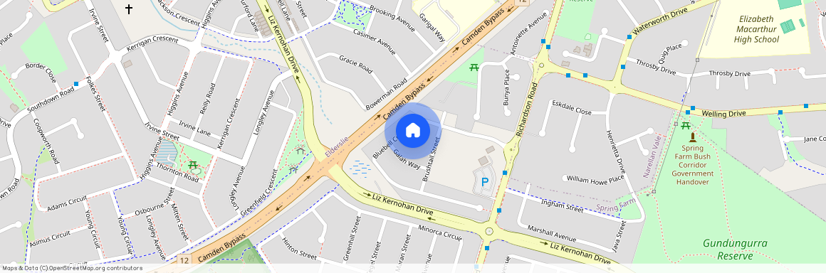 19 Bluebell Crescent, NSW 2570, Spring Farm