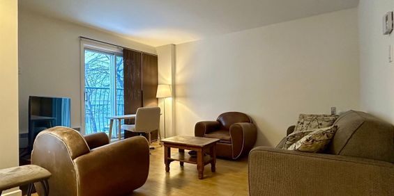 Appartement Montréal (Ville-Marie) � Louer - Photo 3