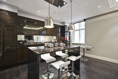 Eccleston Street, Westminster, SW1W - Photo 4