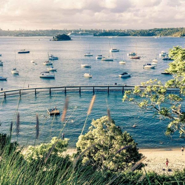 1/20 William Street, Double Bay NSW 2028 - Apartment For Rent | Domain - Photo 1