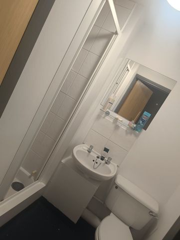 Room in a Shared Flat, Calthorpe Court, B5 - Photo 5