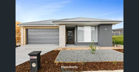 For Rent – Modern Family Home in the Heart of Kalkallo! - Photo 3