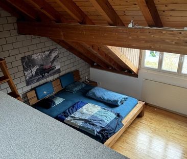 MAISON DE 5 PIÈCES À RIEDIKON (ZH), MEUBLÉE, TEMPORAIRE - Photo 6