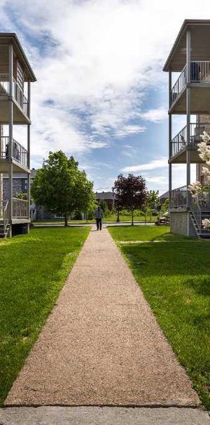 4 1/2 à louer Lévis centre-ville - Photo 1