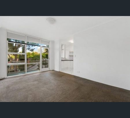 12/19 Stanley Street, Woollahra, NSW 2025 - Photo 4