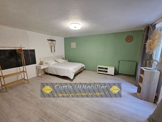 Location Appartement 1 pièce 35m² ST ETIENNE 42000 - Photo 1