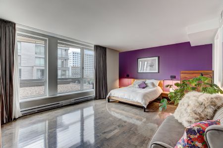 Condo for rent, Montréal (Ville-Marie) - Photo 5