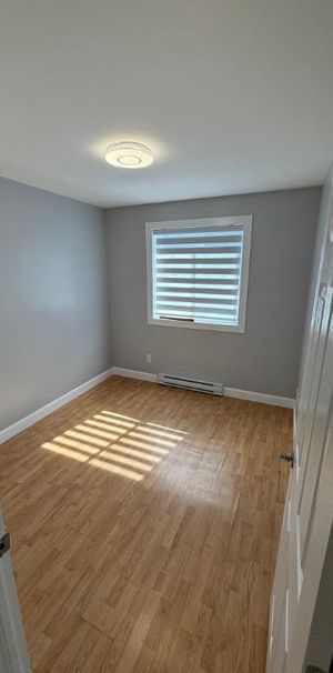 4 1/2 - LAVAL - IMMEDIATE - COMPLETEMENT RENOVE - Photo 1