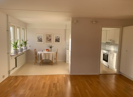 Otteshagen: Etta i lummigt område på nedre botten - Photo 5