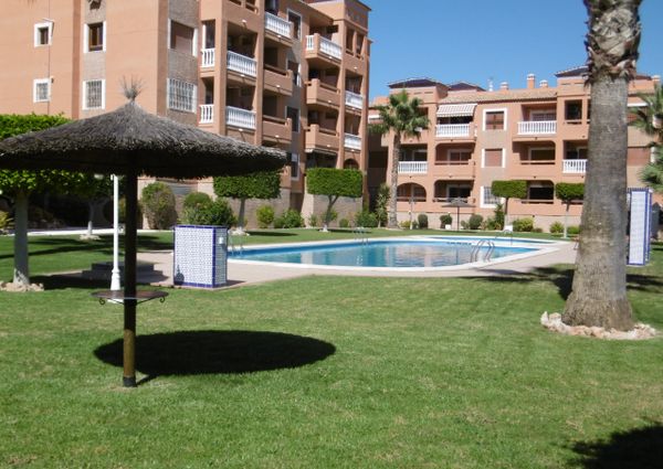 514 Las Violetas – Id 447