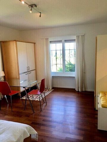 1-ROOM APARTMENT IN LIESTAL (BL), FURNISHED - Photo 3