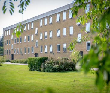 3-vær., Falkevej - Photo 3