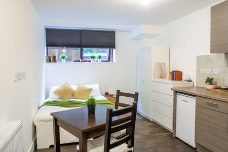 Studio Flat, Hanover House, NW2 - Photo 5