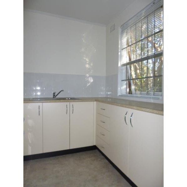 2/71 Probert Street, Newtown NSW 2042 - Studio For Rent | Domain - Photo 1