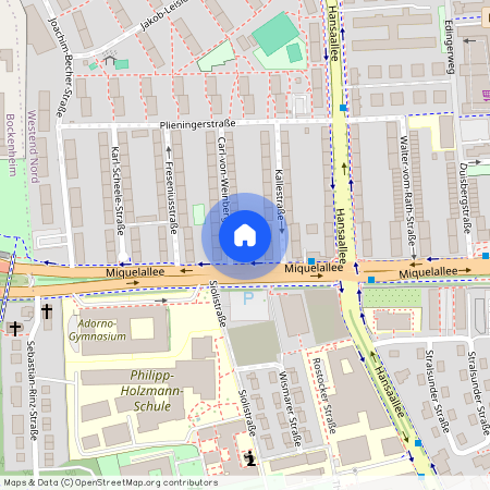 Carl-von-Weinberg-Str. 2, 60320, Frankfurt Am Main Ot Westend-Nord