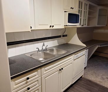 Private Entrance, Free Laundry & Cozy Fireplace, Cat Friendly!! - Photo 6