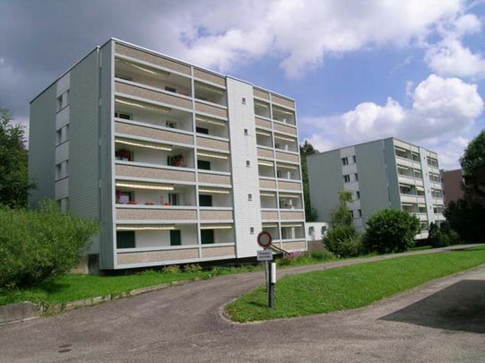 Appartement dernièrement rénové de 3 pièces avec balcon ! - Photo 1