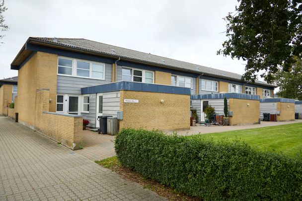 Markeds Allé, Algade, Skovglimt, Christiansvej, Jernbanegade, Stengården, Syrenparken, Søndergade og Østermarken - Photo 1