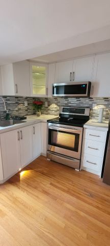 For Lease - 516 Sandford Street Unit# Basement, Newmarket, Ontario - Photo 5