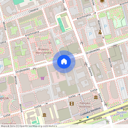 Warszawa, Wola, Grzybowska