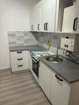 Kiadó felújított panel lakás - Székesfehérvár - Photo 1