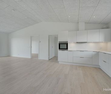 3-værelses Rækkehus på 80 m² i Holstebro - Photo 1