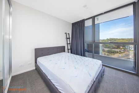 217/7 Irving Street, Phillip ACT 2606 - Apartment For Rent | Domain - Photo 4