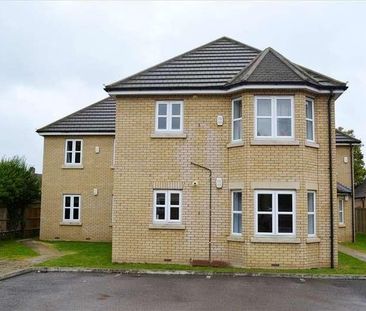 Dilley Croft, Biggleswade, SG18 - Photo 1