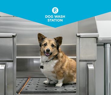 Three Bedroom Two Bath - Photo 5