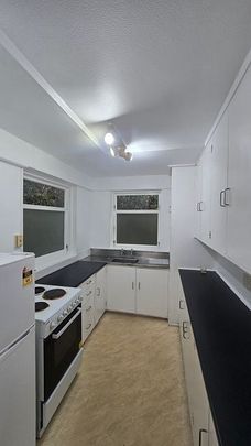 Charming 2BR Unit in Karori - Pets OK! - Photo 1