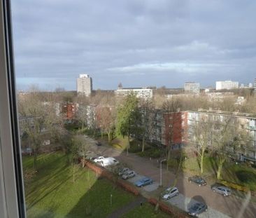 Apartment Den Haag - Gerstkamp - Photo 5