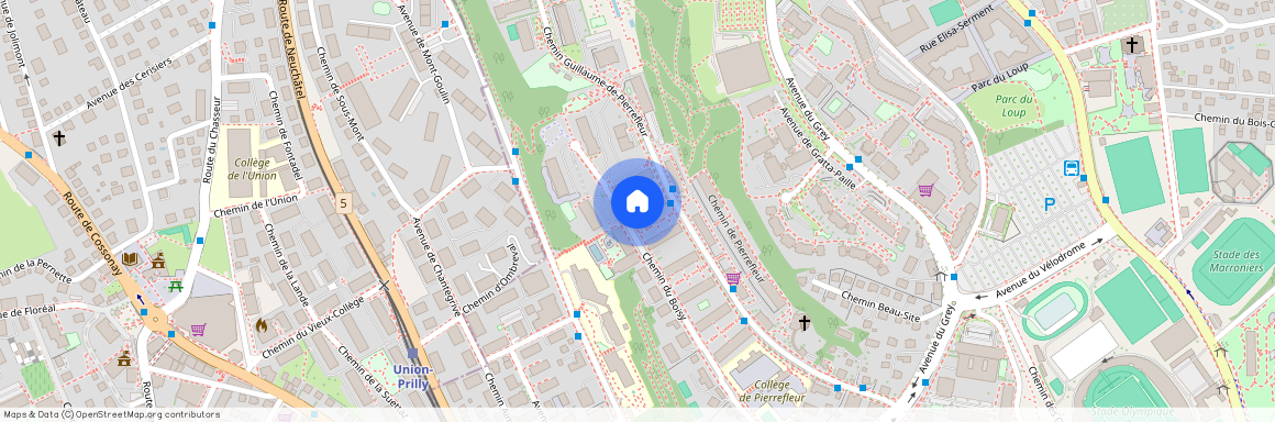 Chemin du Boisy 40, 1004, Lausanne