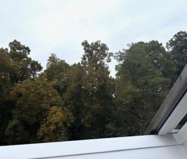 Münster-Innenstadt - Exklusives Penthouse mit Stadt- und Promenaden... - Photo 1