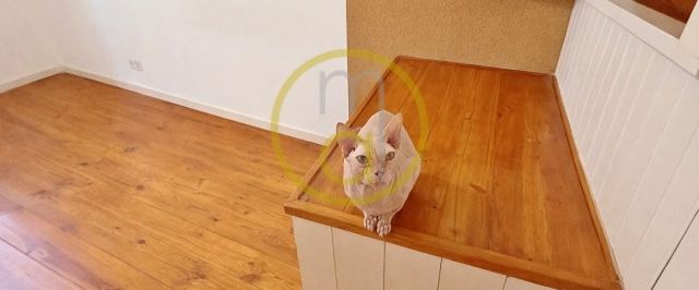 LISBON CENTER / METRON ROSSIO -BAIXA ap. T1 unfurnished - Photo 1